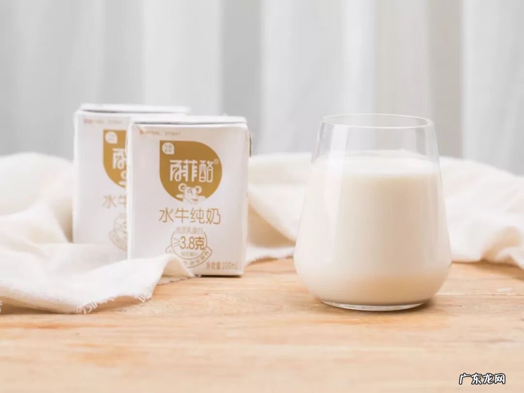 水牛奶好不好 水牛奶是什么奶