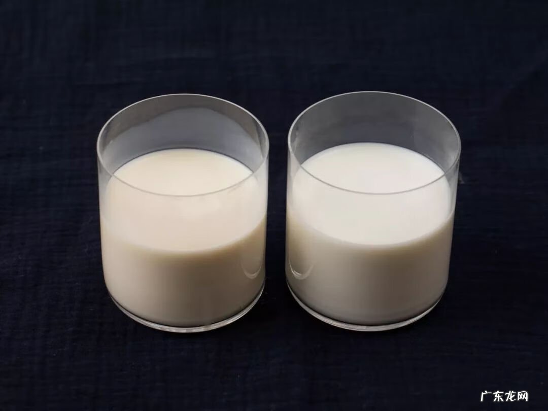 水牛奶好不好 水牛奶是什么奶