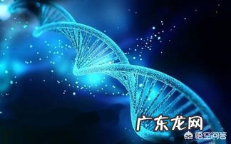 有谁知道这是啥皮肤病-有点痒,在线等?