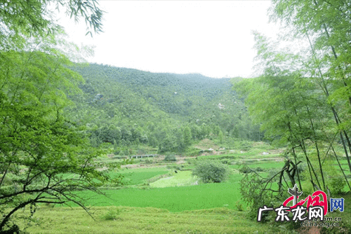 江西赣州地理风水学院 江西地理风水师之乡