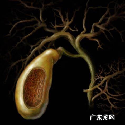 孕初期碱性磷酸酶偏低 孕妇碱性磷酸酶偏低的原因