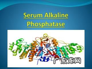 孕初期碱性磷酸酶偏低 孕妇碱性磷酸酶偏低的原因