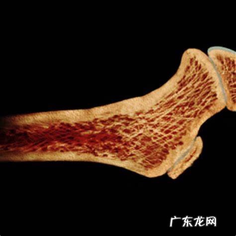 孕初期碱性磷酸酶偏低 孕妇碱性磷酸酶偏低的原因