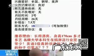 借卵做试管婴儿 借卵代孕