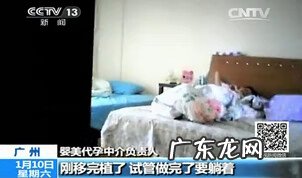 借卵做试管婴儿 借卵代孕