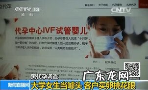 借卵做试管婴儿 借卵代孕