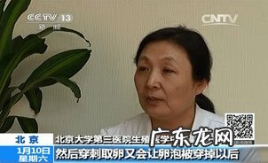 借卵做试管婴儿 借卵代孕