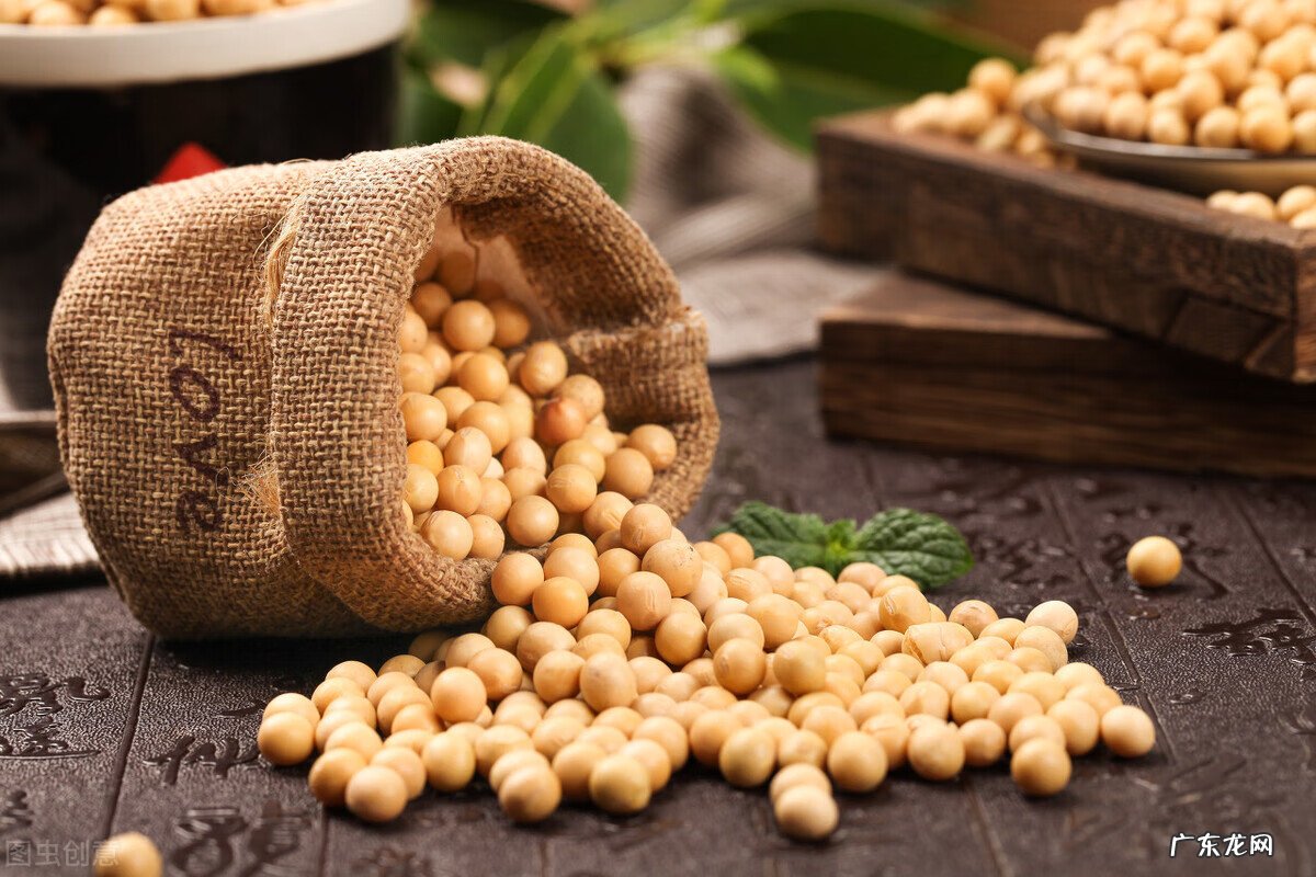 血脂高的人吃什么食物好 血脂高吃什么食物最好