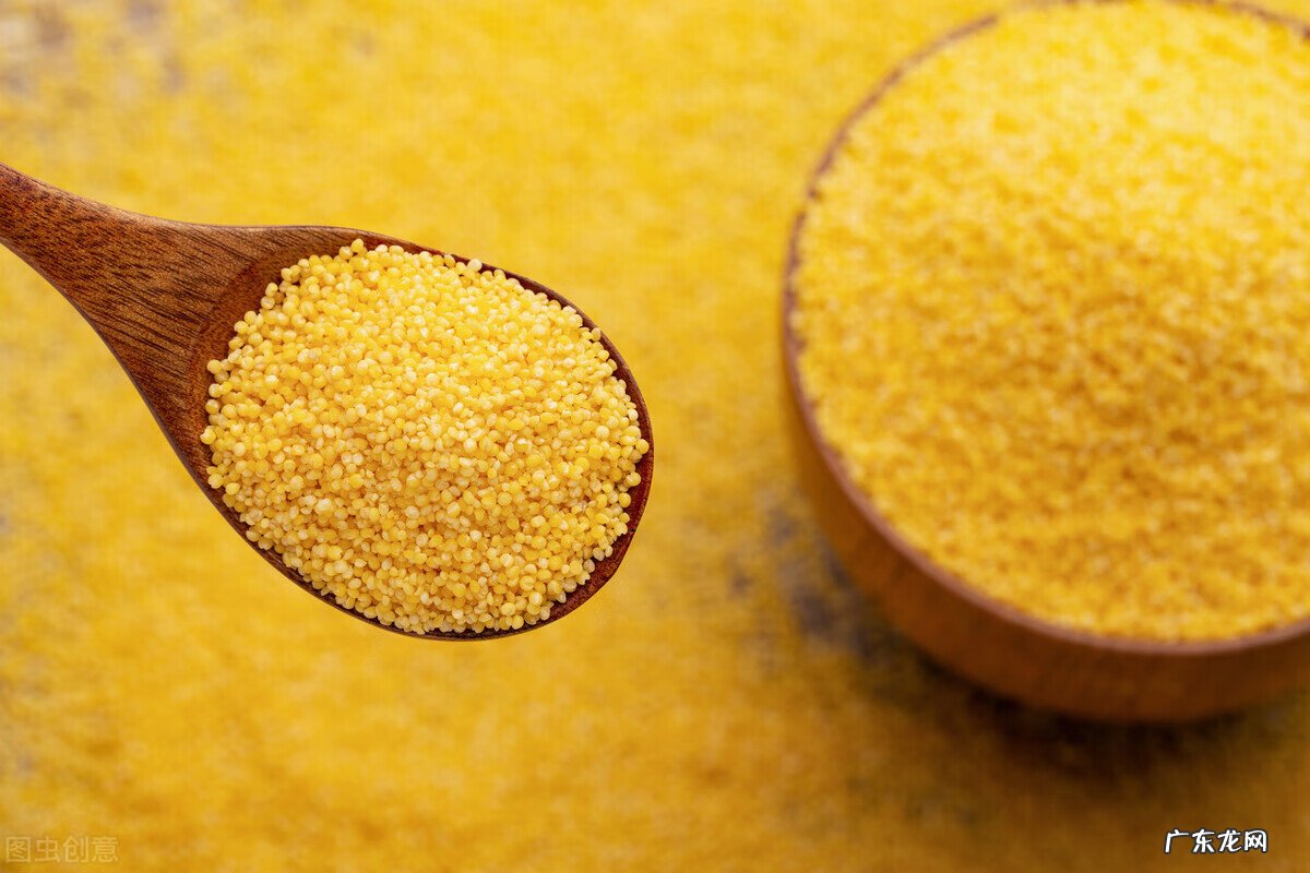 血脂高的人吃什么食物好 血脂高吃什么食物最好