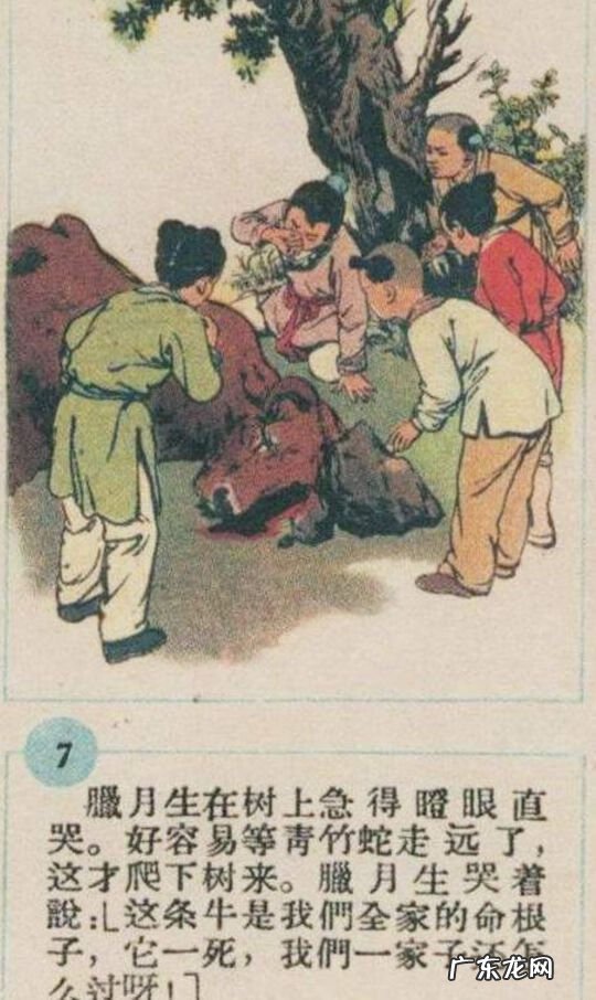 了解风水方面的知识 怎么给客户介绍看风水呢