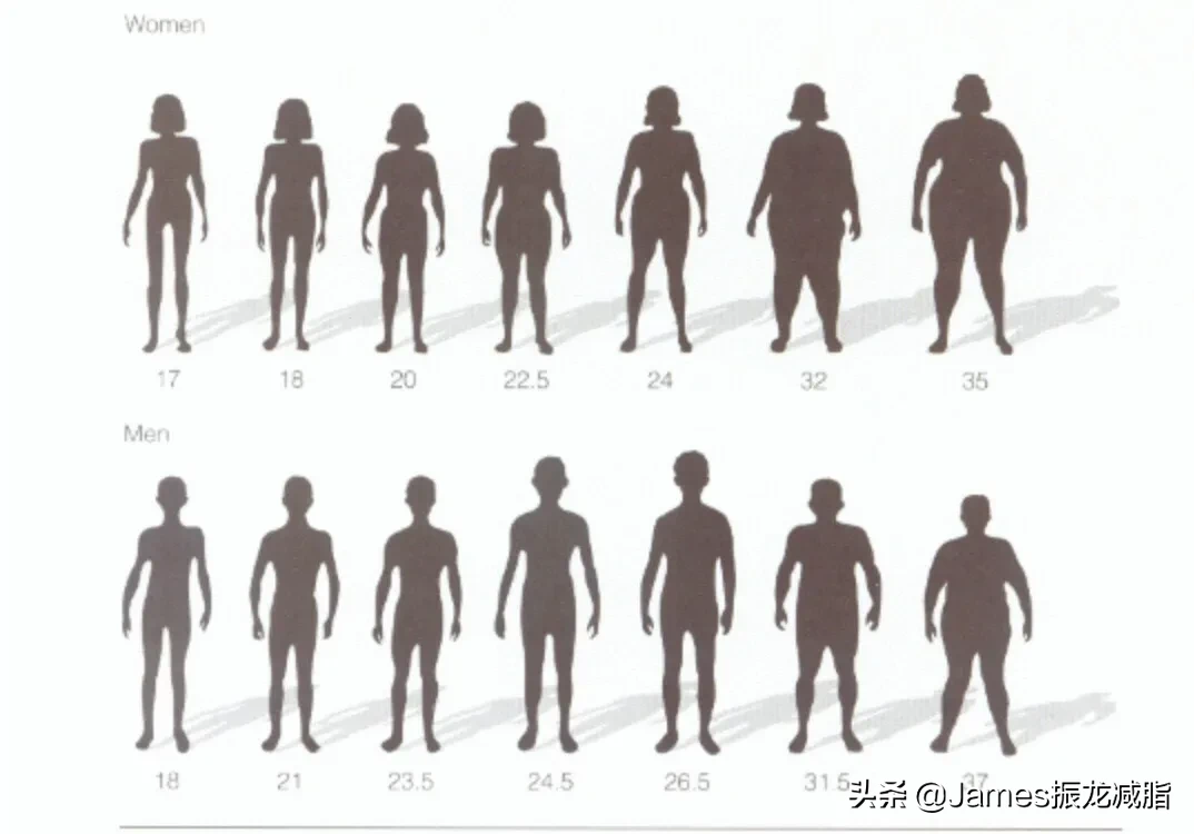 如何瘦脸，瘦大腿，瘦腰，瘦身？