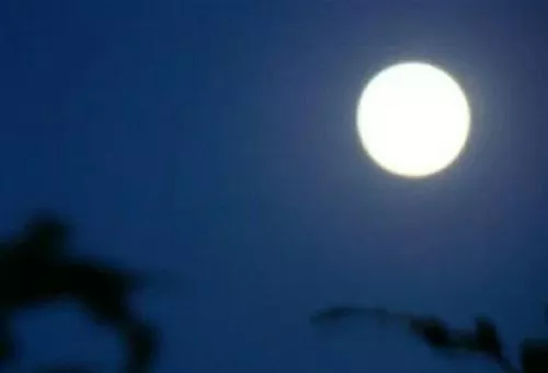 为何成都望江楼对联被称为千古绝对？