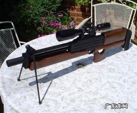 瓦尔特wa2000狙击枪 WA2000狙击枪