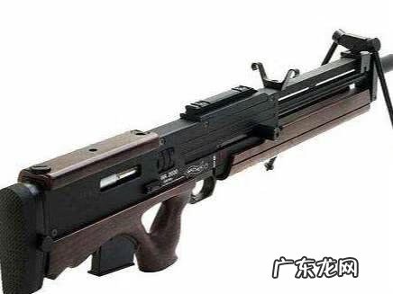 瓦尔特wa2000狙击枪 WA2000狙击枪