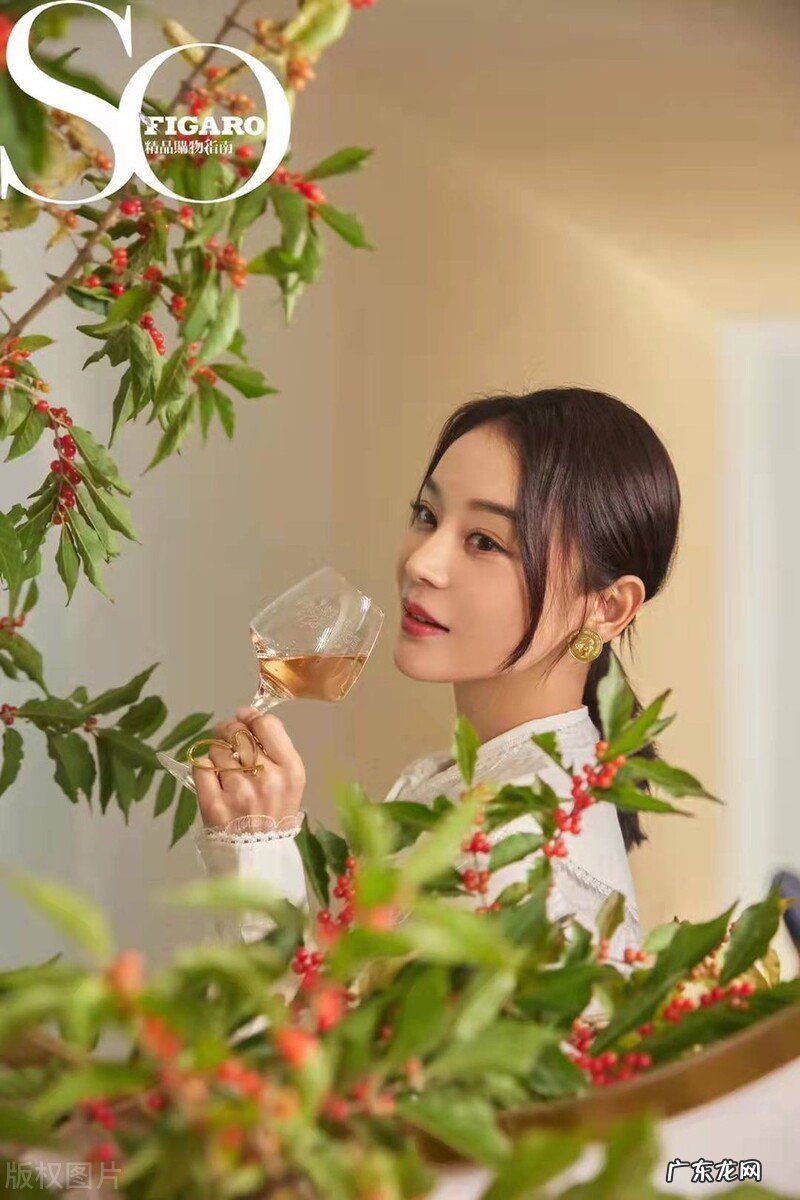 大家好,你们喜欢什么明星,为什么?我喜欢杨紫、杨幂、迪丽热巴?