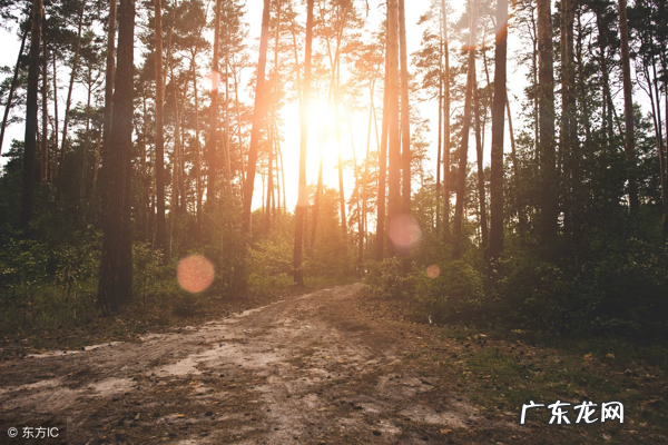 风水先生赚钱吗 学风水可以赚钱吗