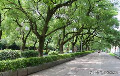 成都正规的职高学校 成都的职业技术学校有