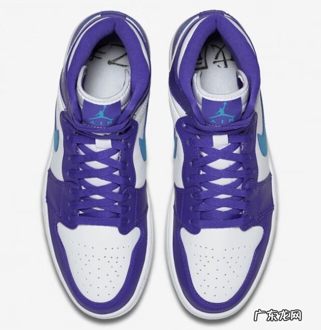 家里进来大黄蜂风水 黄蜂风水好吗