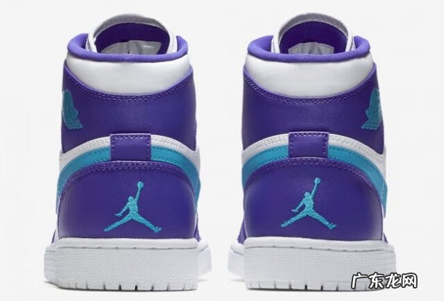 家里进来大黄蜂风水 黄蜂风水好吗