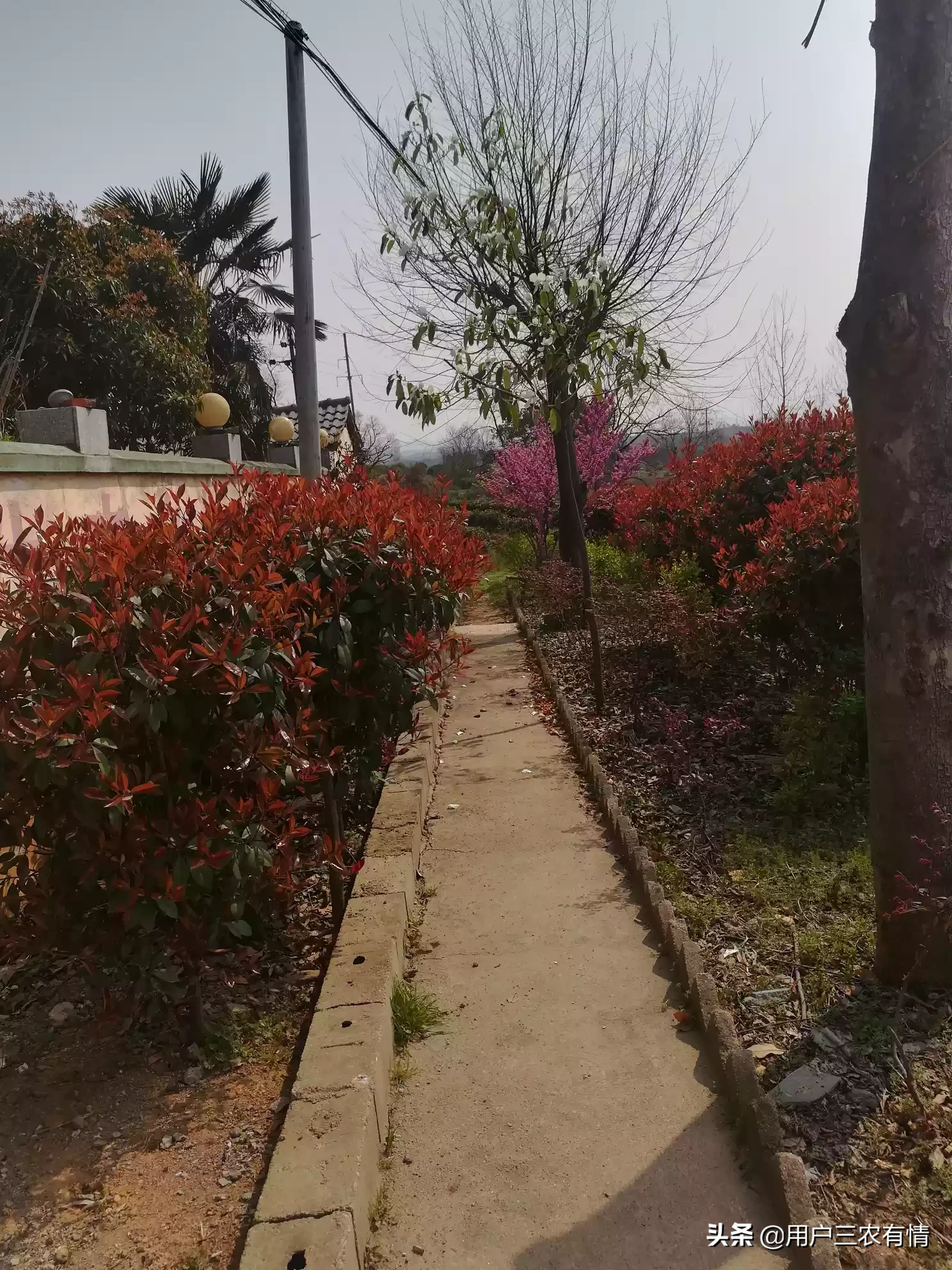 投资1000-3000元的小本创业有哪些?