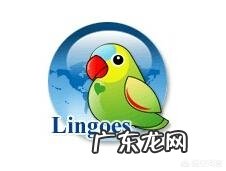 有哪些好用的中英文翻译软件?