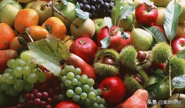 水果有那些品种？