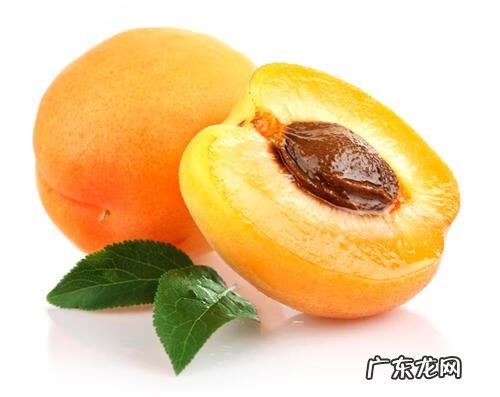 西瓜用英语怎么说 西瓜的英语叫什么