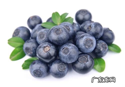 西瓜用英语怎么说 西瓜的英语叫什么