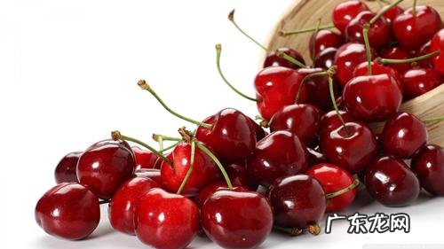 西瓜用英语怎么说 西瓜的英语叫什么