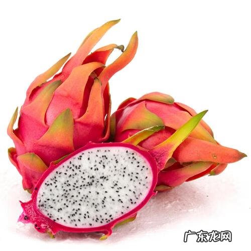 西瓜用英语怎么说 西瓜的英语叫什么