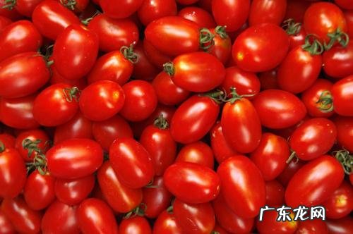 西瓜用英语怎么说 西瓜的英语叫什么