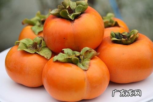 西瓜用英语怎么说 西瓜的英语叫什么