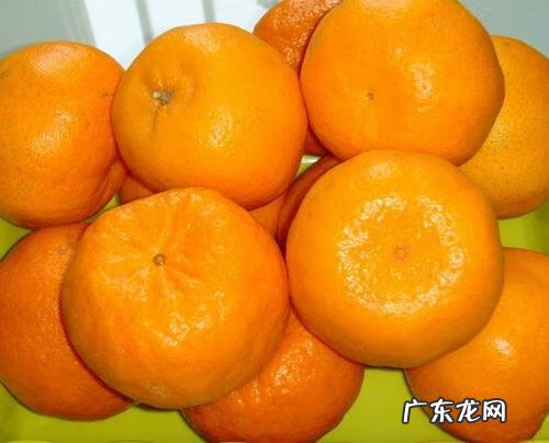 西瓜用英语怎么说 西瓜的英语叫什么