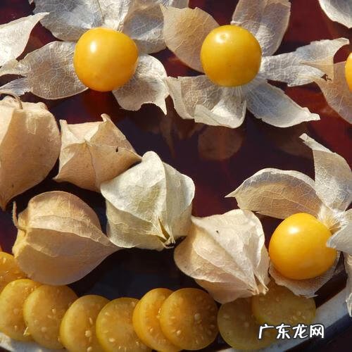 西瓜用英语怎么说 西瓜的英语叫什么