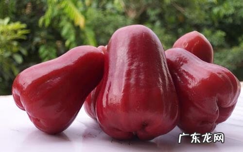 西瓜用英语怎么说 西瓜的英语叫什么