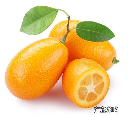 西瓜用英语怎么说 西瓜的英语叫什么