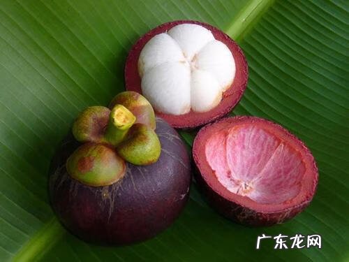 西瓜用英语怎么说 西瓜的英语叫什么