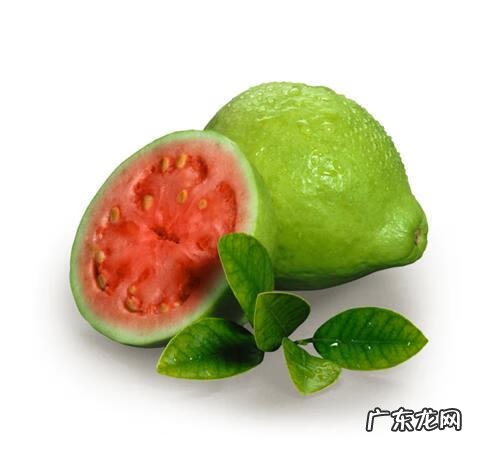 西瓜用英语怎么说 西瓜的英语叫什么