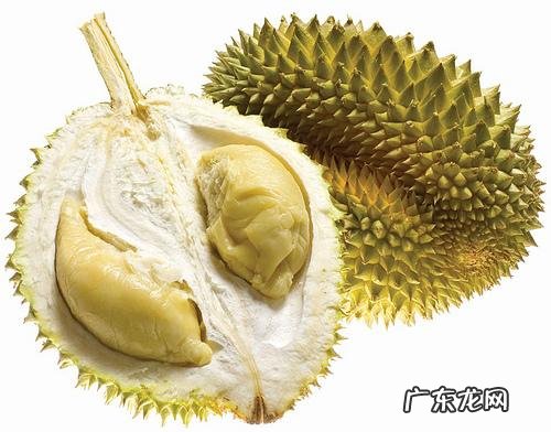 西瓜用英语怎么说 西瓜的英语叫什么