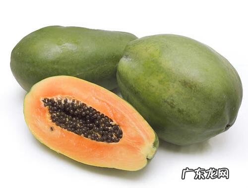 西瓜用英语怎么说 西瓜的英语叫什么