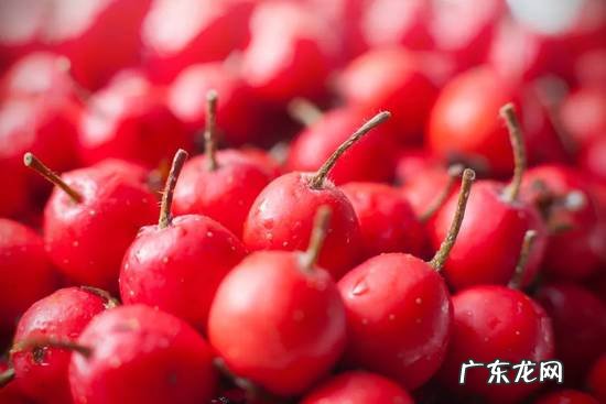 山楂片给孩子当零食,不仅不能促消化,还不健康!