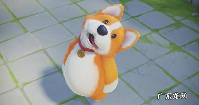 动物派对游戏图片 派对动物什么意思