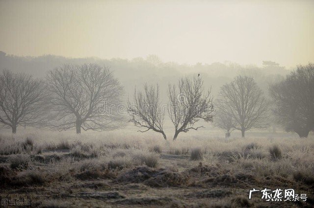 明天寒露,俗话说“寒露有三怕”,“三怕”指的是哪三怕?