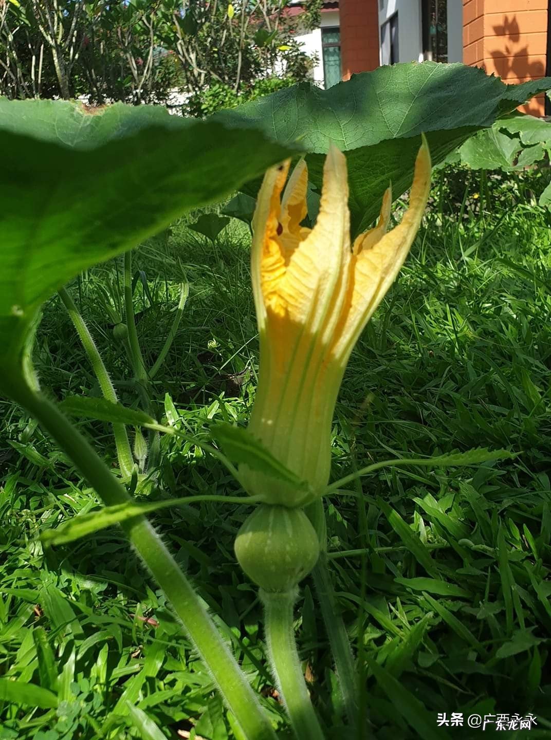 想把我的一些经历当成故事讲出来,谁能教教我怎么讲故事?