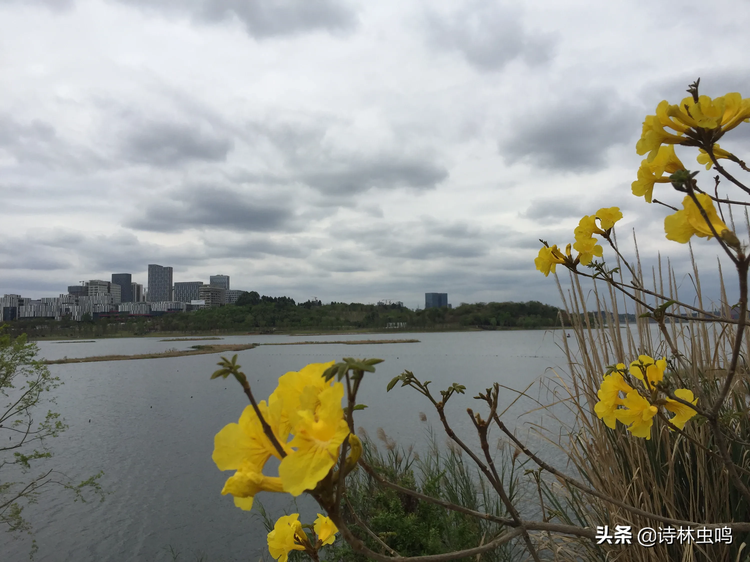 为什么俄罗斯军人集会的口号都是乌拉ypa?