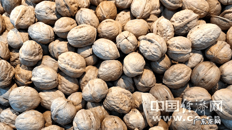 什么食物含钙最高 含钙食物有哪些?