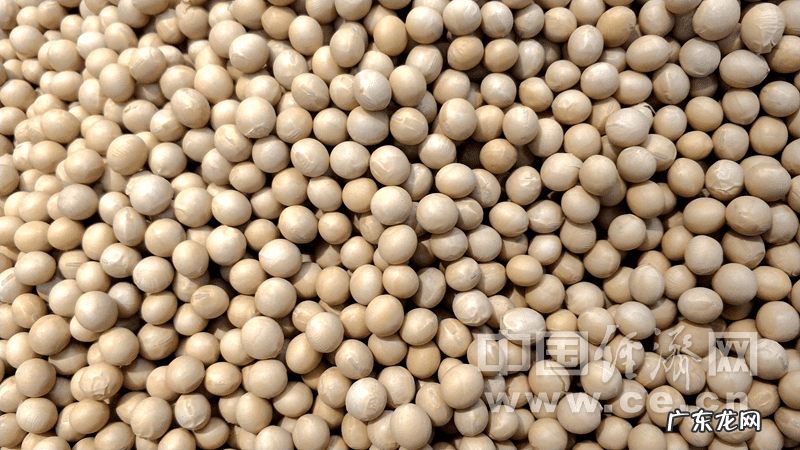 什么食物含钙最高 含钙食物有哪些?