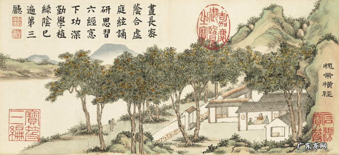 院子里种植冬青树有什么说法 风水上冬青树有什么说法吗