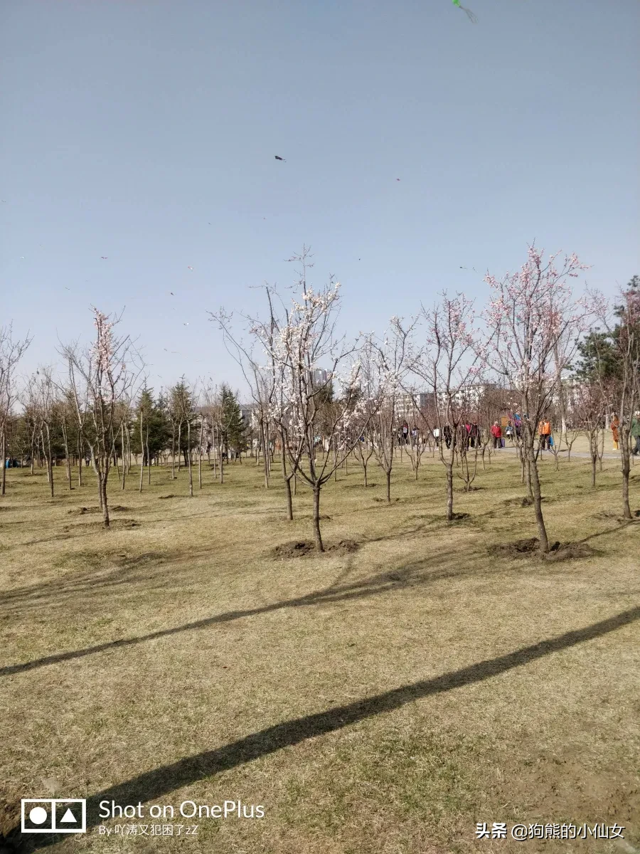 孕早期吃哪些坚果好?