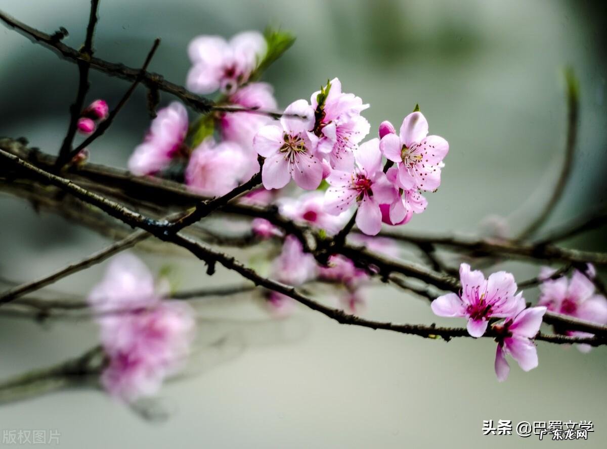 幼儿园广播稿小故事 幼儿园广播稿经典范文春天